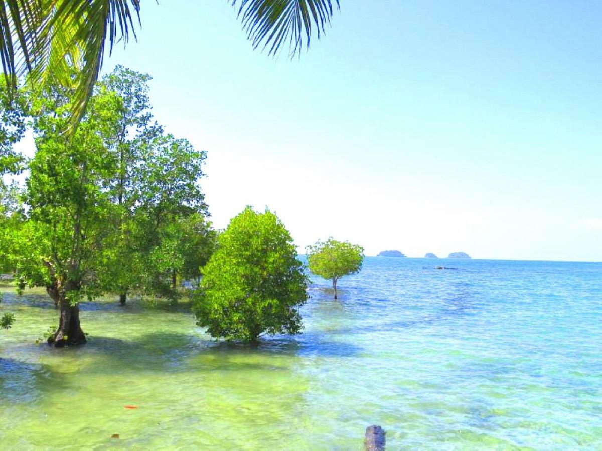 ฺ湾码头小屋旅馆 象岛 外观 照片